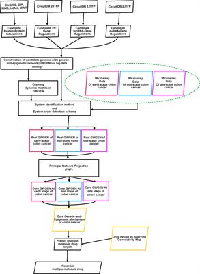 Investigation of the Genome-Wide Genetic and Epigenetic Networks for Drug Discovery Based on Systems Biology Approaches in Colorectal Cancer